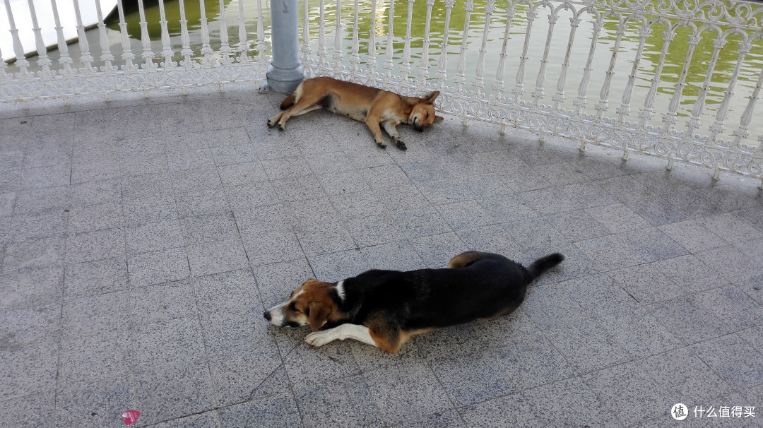 第四日 曼谷之行
