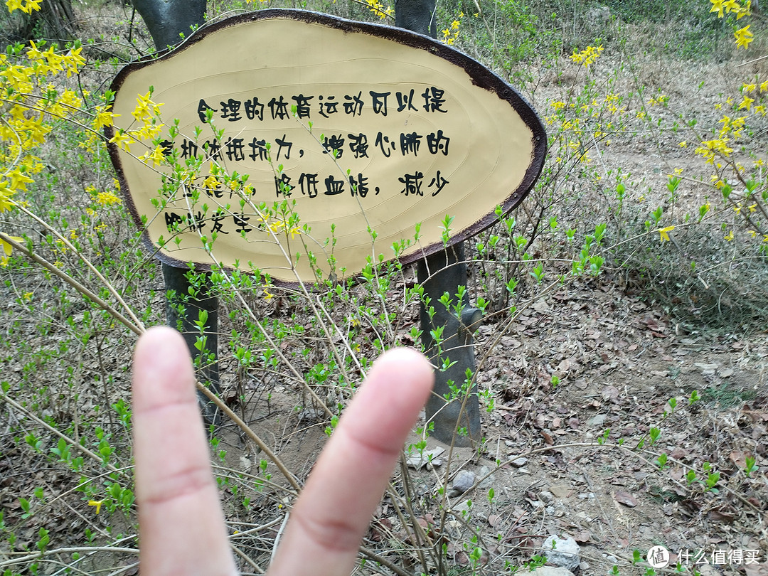 香山公园不仅有秋天红叶，还有春天繁花—vivo Xplay5随手拍