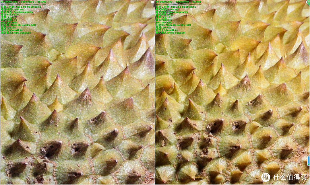 性价比之选！Canon 佳能 EF-50STM VS EF-35L 两款镜头对决