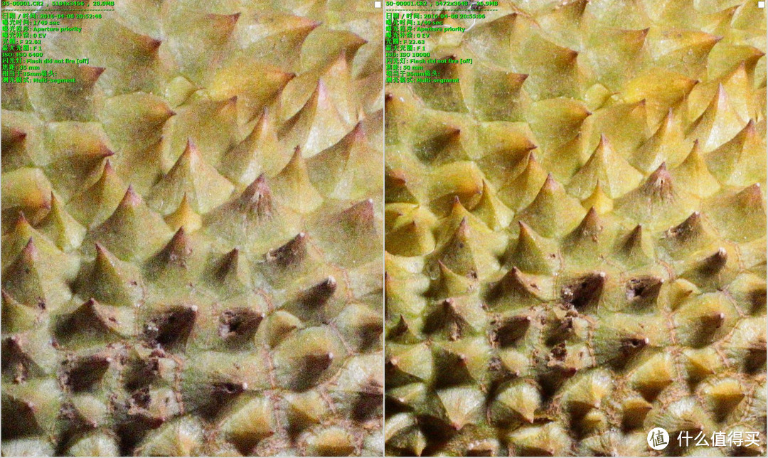 性价比之选！Canon 佳能 EF-50STM VS EF-35L 两款镜头对决