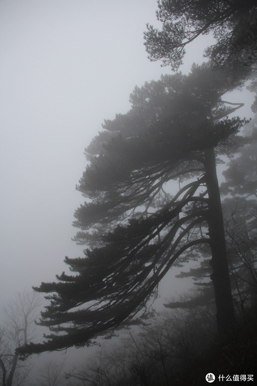 风雨中的黄山风景（留有遗憾，期待下次旅行）