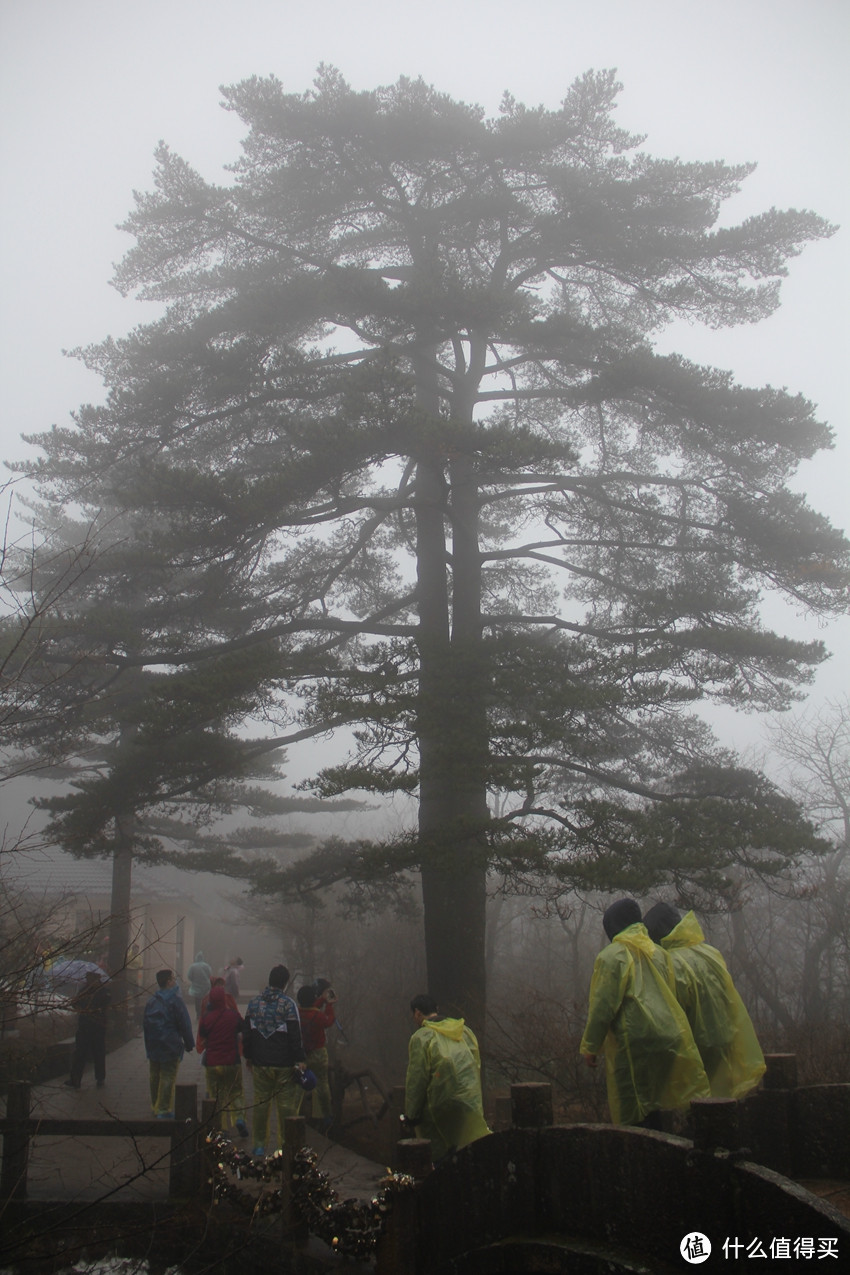 风雨中的黄山风景（留有遗憾，期待下次旅行）