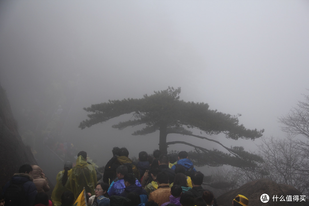 风雨中的黄山风景（留有遗憾，期待下次旅行）