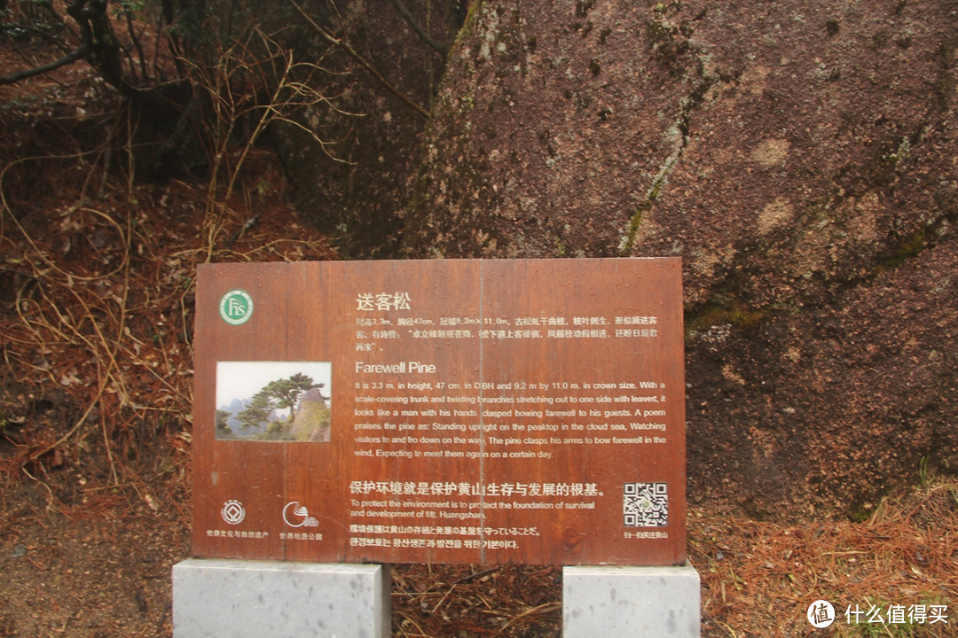 风雨中的黄山风景（留有遗憾，期待下次旅行）