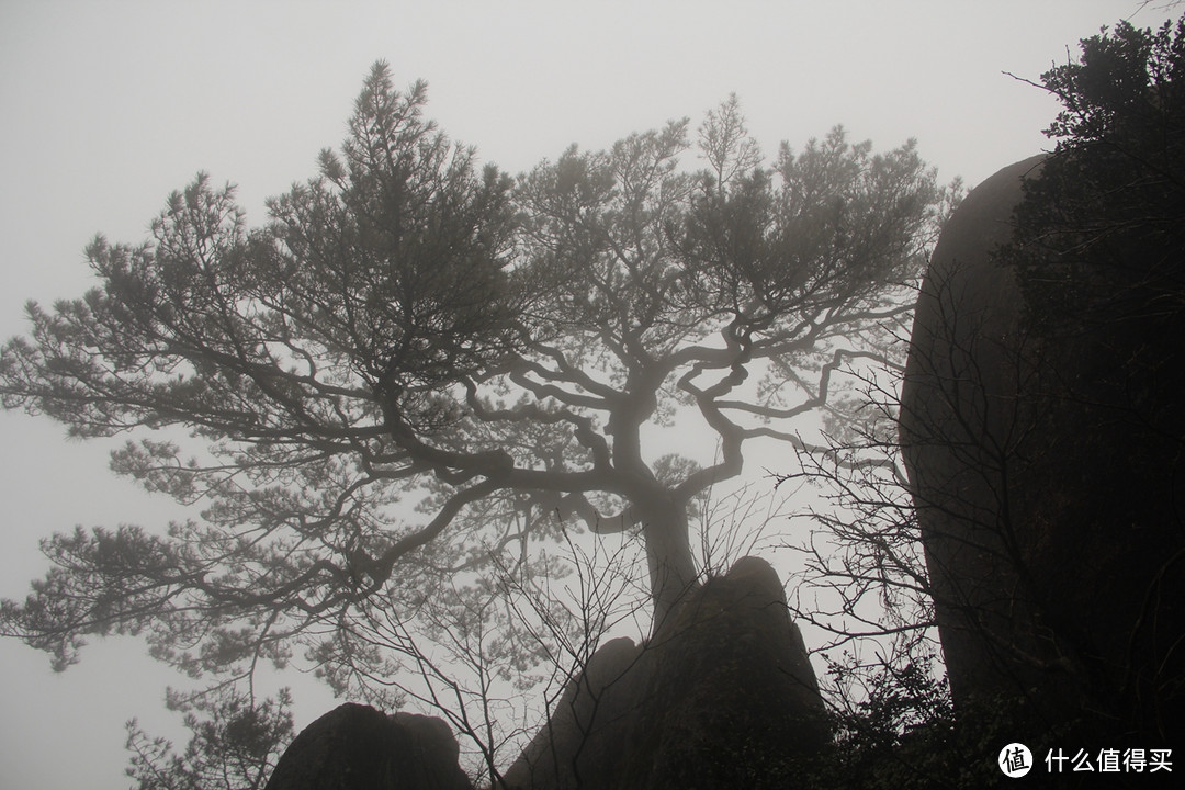 风雨中的黄山风景（留有遗憾，期待下次旅行）