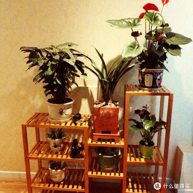 从新手的角度浅谈家装局域网铺设：网络设备及材料选购