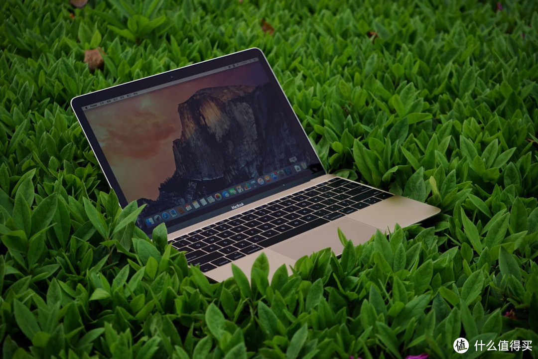 #中奖秀# 树丛里捡到一只苹果 ——来自幸运屋的MacBook