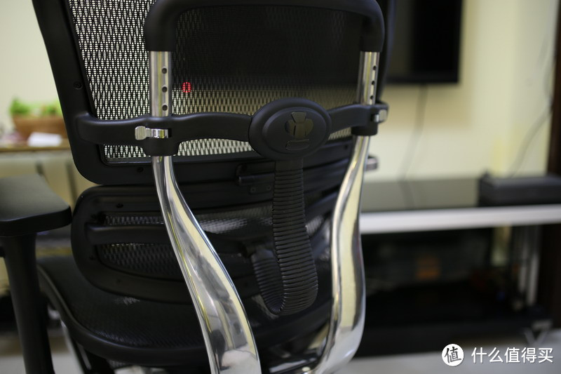 为了这把老腰：达宝利 人体工学电脑椅 金豪+E版
