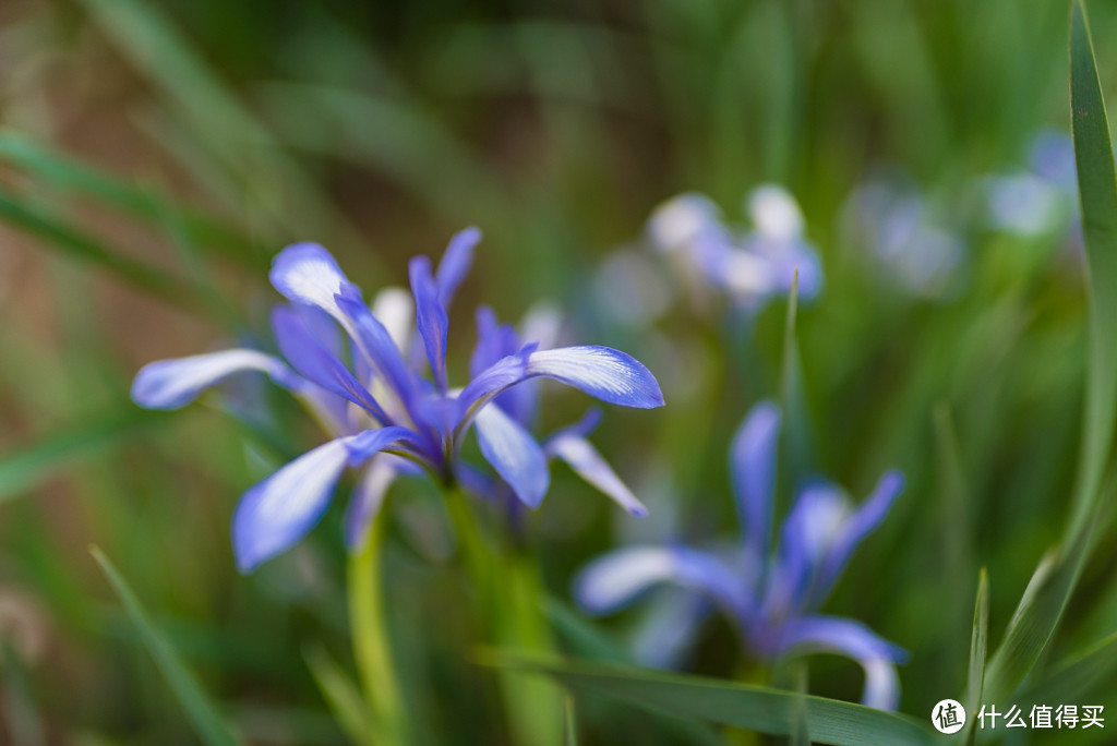 传说中的人文利器终于入手 SIGMA 适马 35mm f1.4 定焦镜头开箱简评