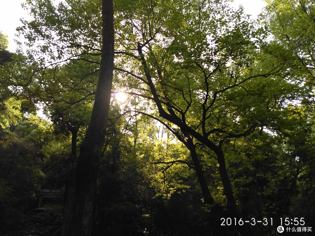 橘子洲头岳麓山漫步