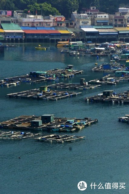 “你好，香港”—— 一个轻度港剧迷的香港之旅