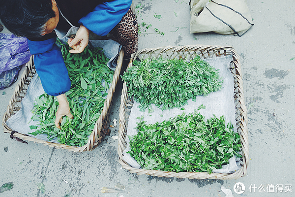 菜市場入口,農民阿姨們賣著油菜芽以及各種不知名的野菜.