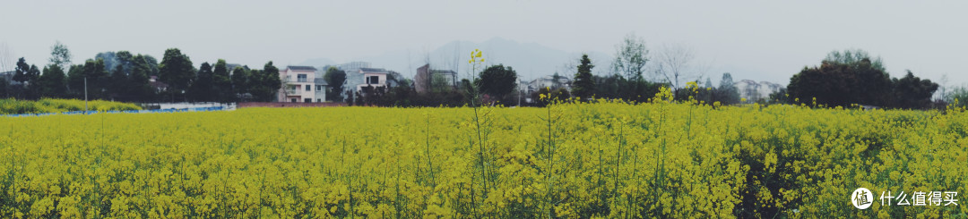 拜水都江堰(没去)问道青城山(没去):都江堰街子古镇一日游