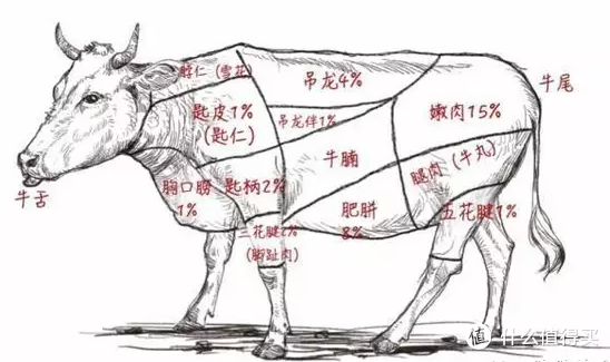 潮汕牛肉火锅品鉴攻略 潮汕牛肉火锅分类 怎么样好吃 什么值得买