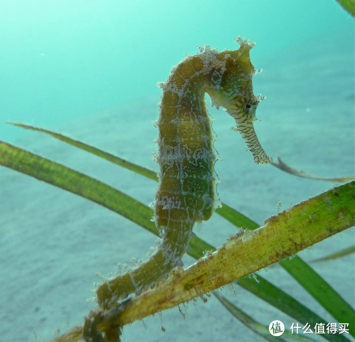 最容易到达的海岛天堂——菲律宾离岛酒店攻略