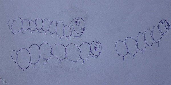前方高能预警慎点黑暗料理来袭铁锅直烘倒斗黄狼虫斗米虫