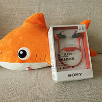 SONY 索尼 MDR-AS800BT 运动型蓝牙立体声耳机 开箱体验