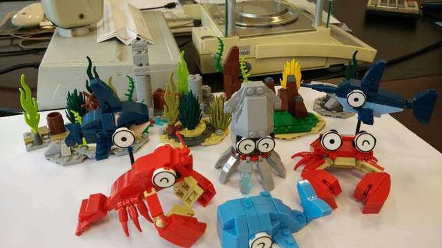 lego 乐高 基础创意拼砌系列 10681 积木组