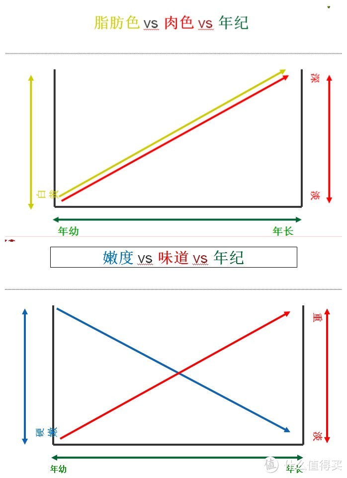 #扫货新大陆#澳洲牛肉选购介绍