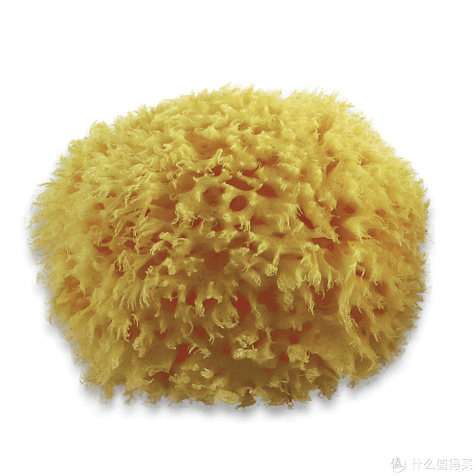 专题:让宝宝爱上洗澡——有趣又实用的洗澡用品推荐
