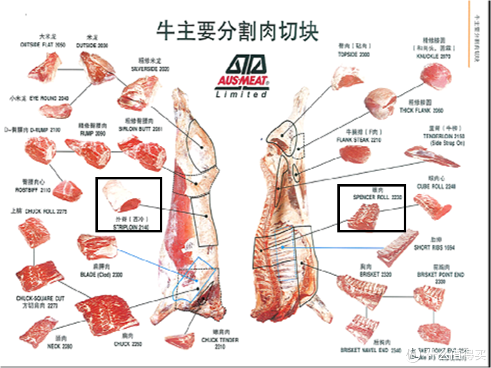 #扫货新大陆#澳洲牛肉选购介绍