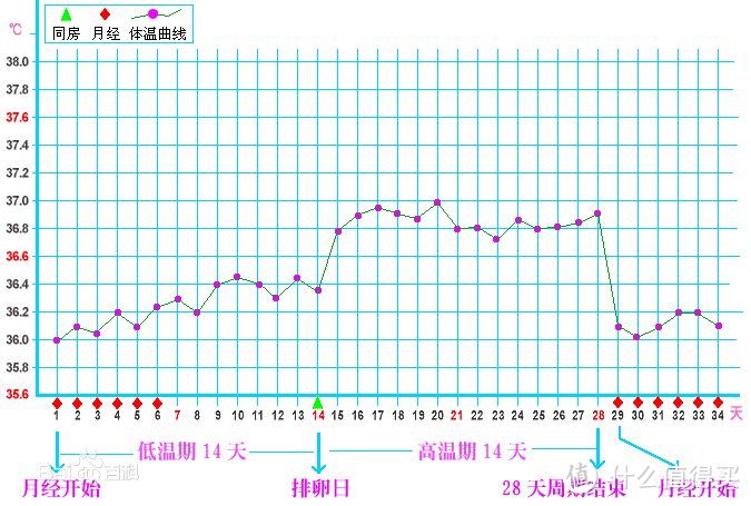 从姨妈的失而复得浅谈女性姨妈