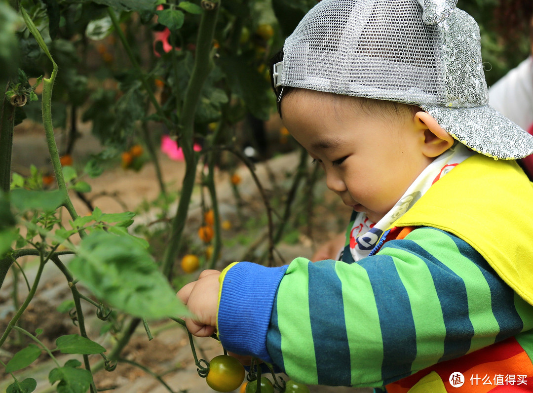 春暖花开去春游你都带些什么