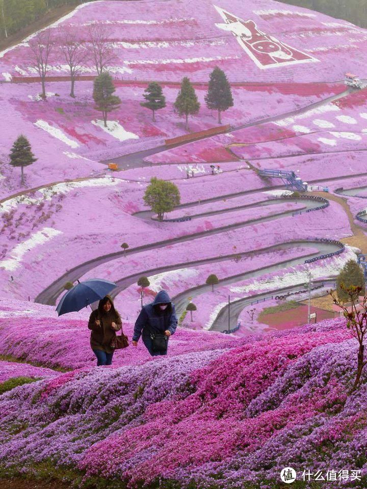 北海道——魂牵梦萦，不如成行（附Airbnb 独家优惠码）