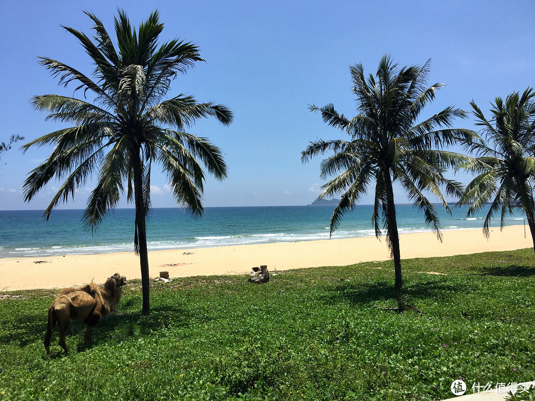 “若能踏浪而行也不错”，日月湾冲浪之旅