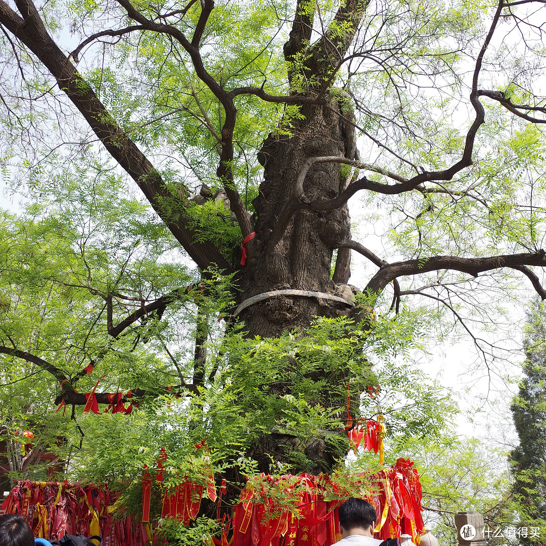 北京各种寺庙游