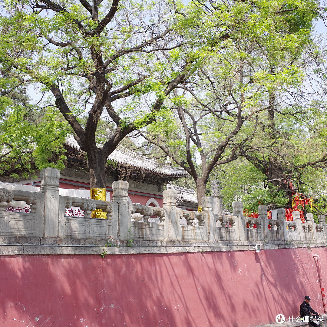 北京各种寺庙游