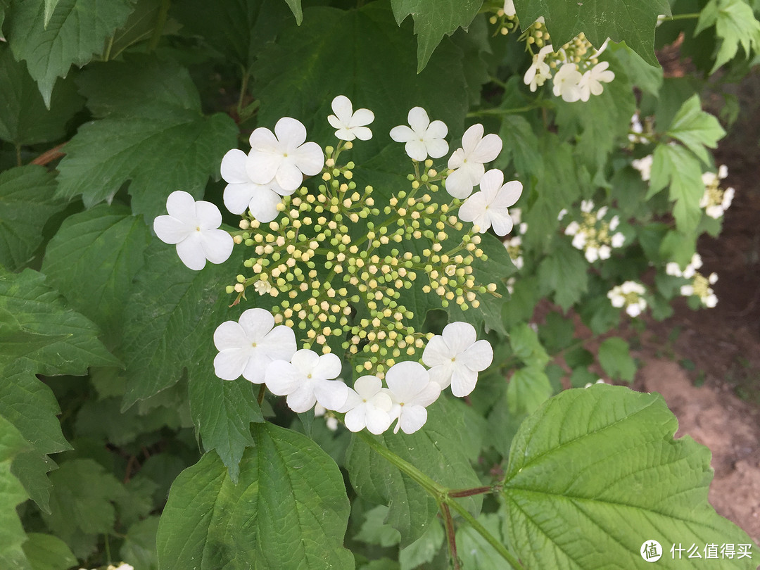 北京各种寺庙游