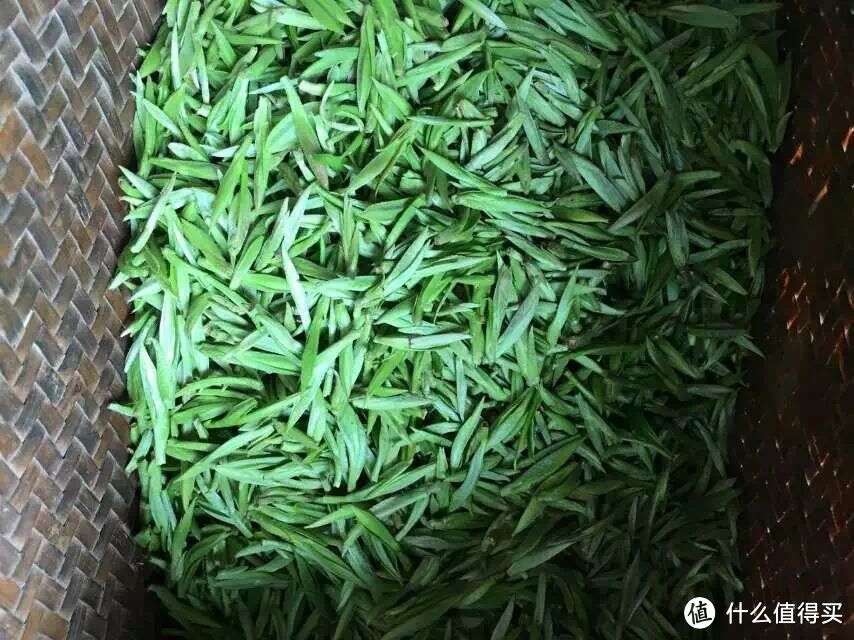 除了精酿，你们喜欢喝茶吗？——说一说家乡的茶叶