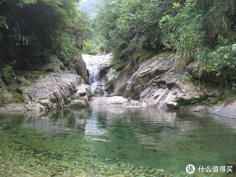 除了精酿，你们喜欢喝茶吗？——说一说家乡的茶叶