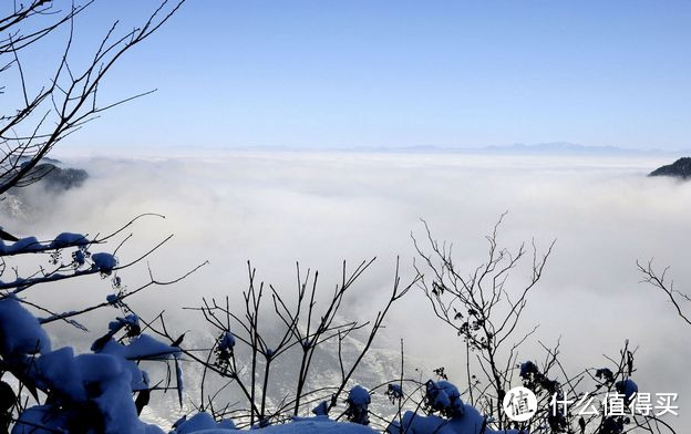 除了精酿，你们喜欢喝茶吗？——说一说家乡的茶叶