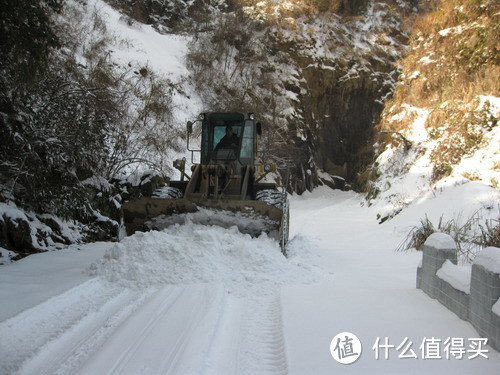 除了精酿，你们喜欢喝茶吗？——说一说家乡的茶叶