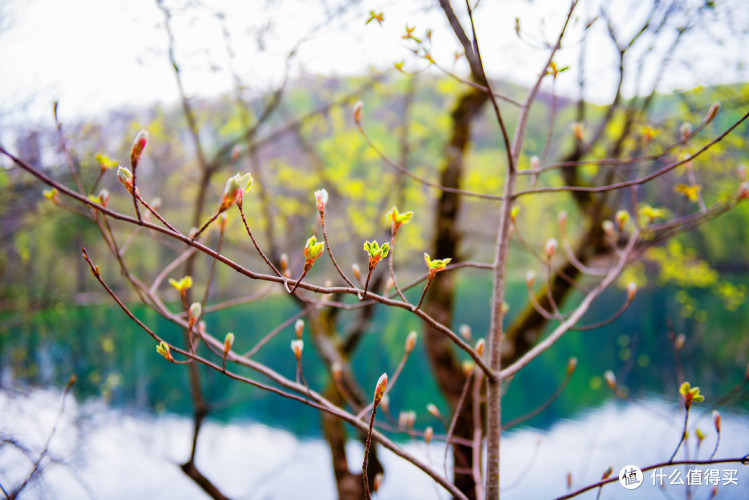 克罗地亚自驾游攻略 | 十六湖_罗维尼_萨格勒布