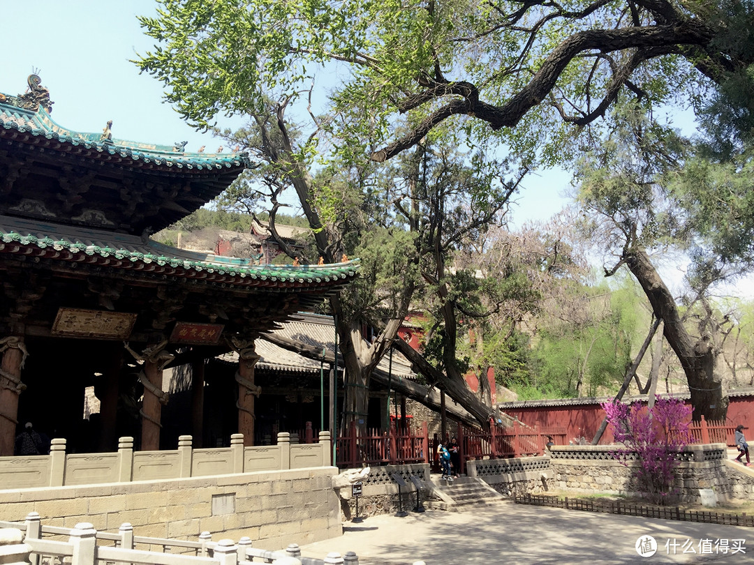 追着春天的尾巴去撒野，春游周边好去处—太原晋祠