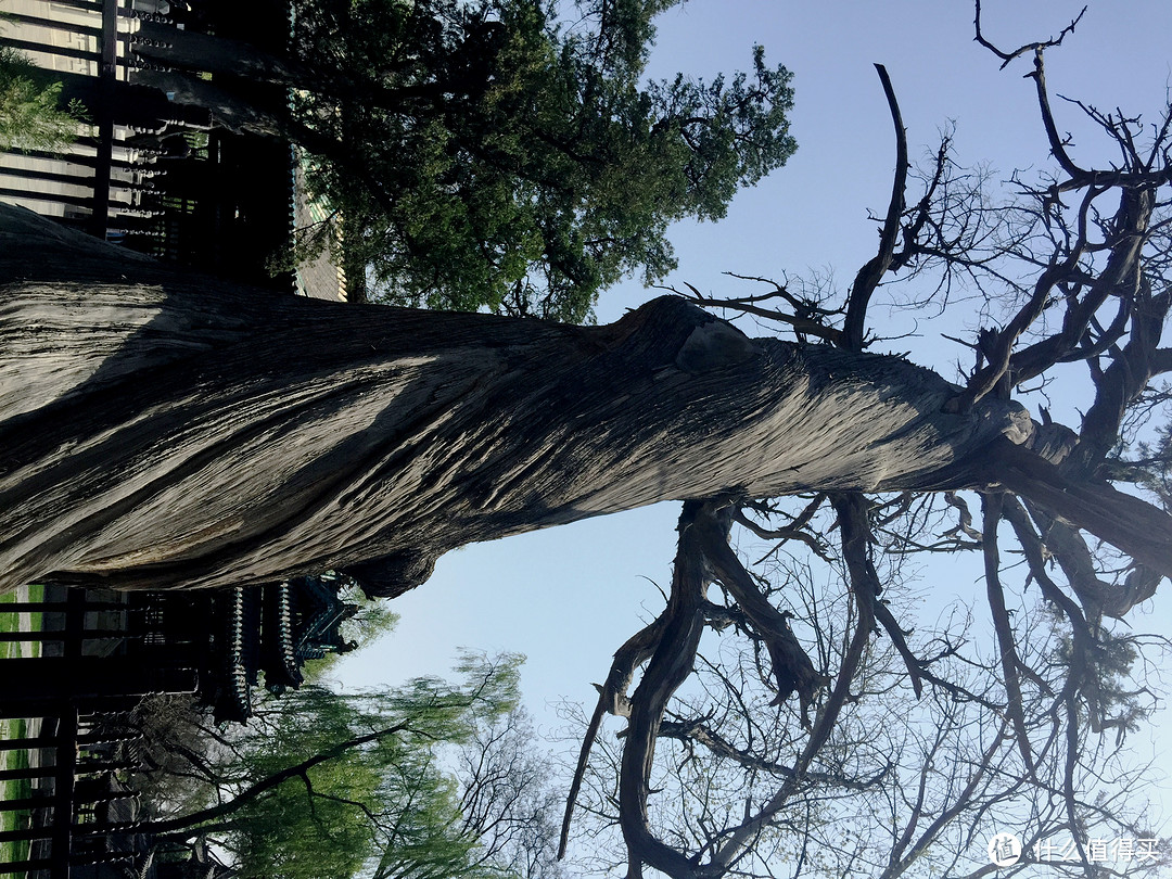 追着春天的尾巴去撒野，春游周边好去处—太原晋祠