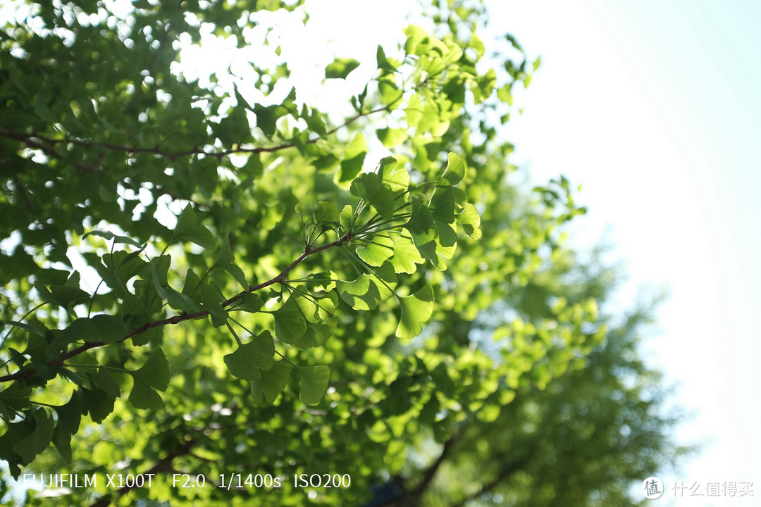 小巧随身，FUJIFILM 富士 X100T 数码旁轴相机 体验