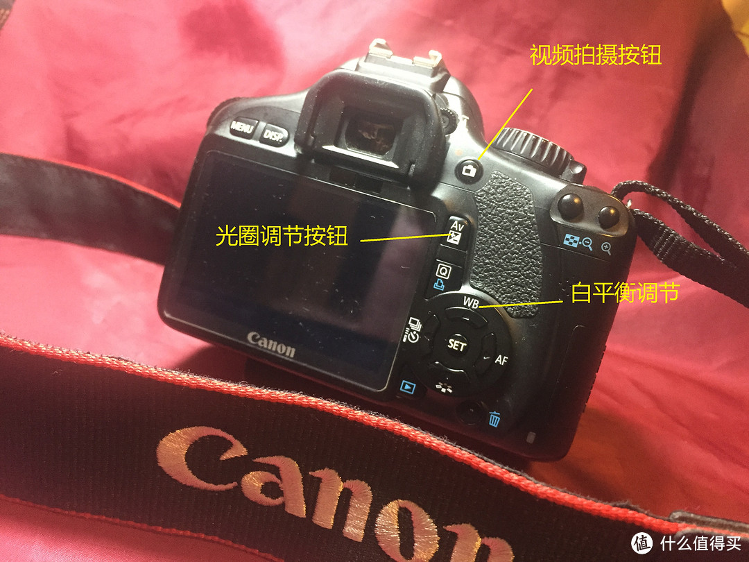 带着我的“狗头”扫欧洲 — Canon 佳能 EOS550D & EF18-55 单反套机