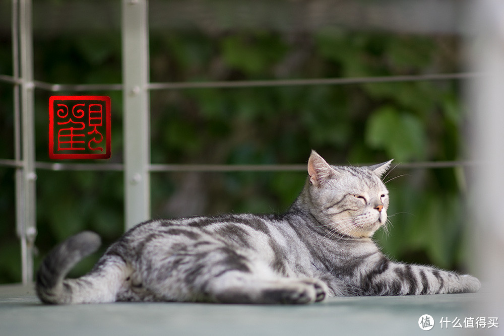 手机摄影·观复博物馆·游记