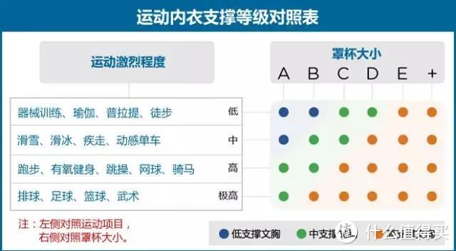 关于运动文胸那些事，从原理到类型再到如何选择？