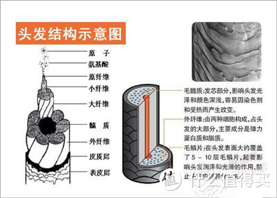 吹风之黑黑科技 - TESCOM TCDF40美发胶原蛋白吹风机评测