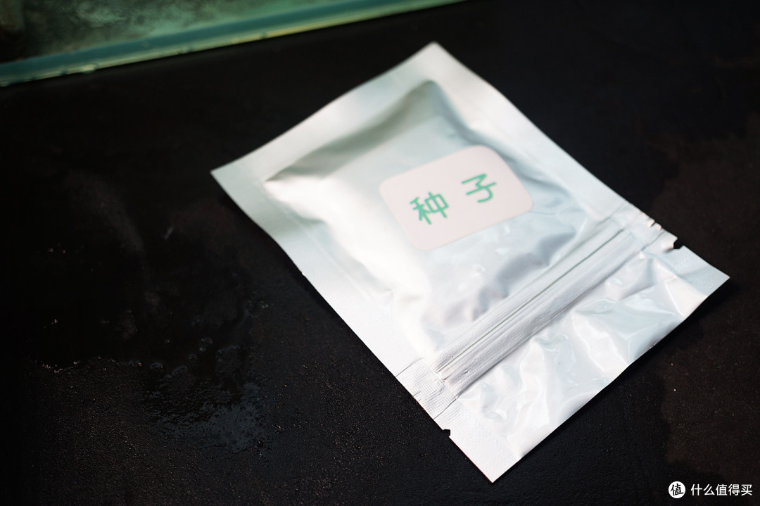 懒人一起来种菜吧!麻麻汇 mini巴比立方