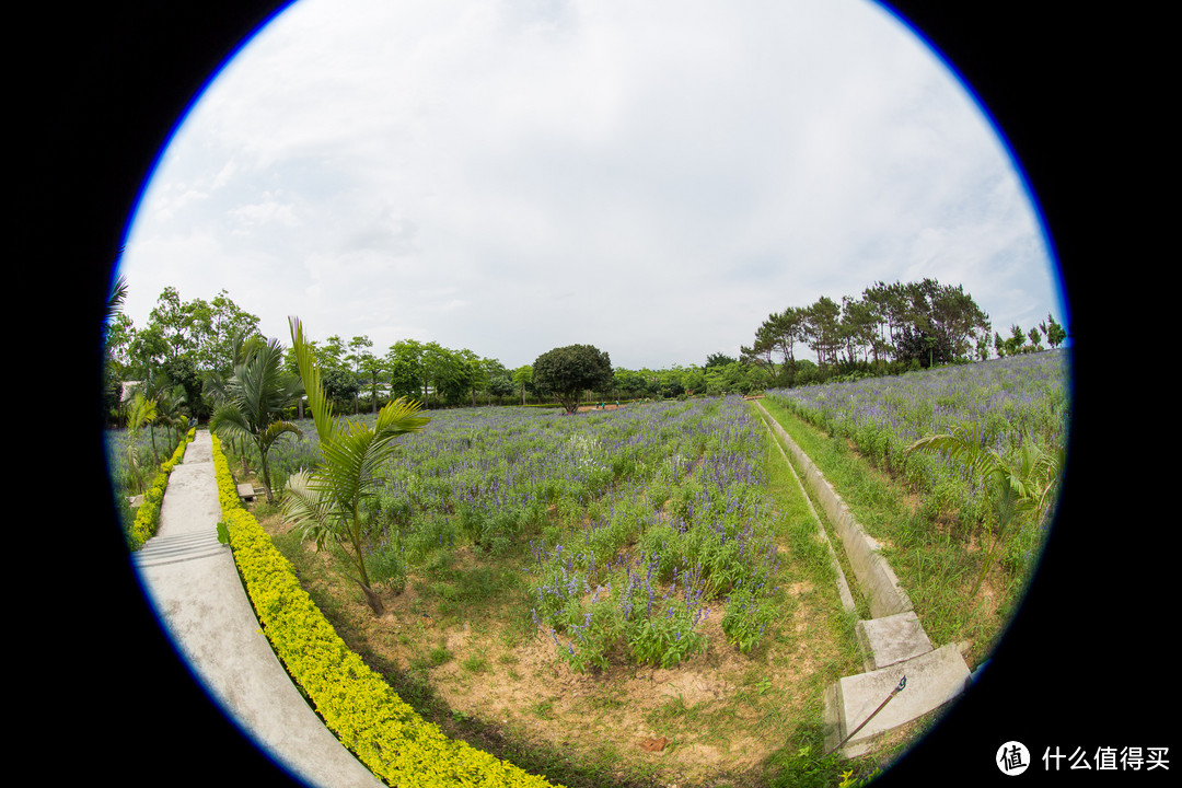 冷门焦段，canon 佳能 EF 8-15mm f/4L USM 鱼眼 镜头 使用评测