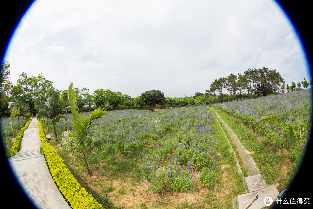 冷门焦段，canon 佳能 EF 8-15mm f/4L USM 鱼眼 镜头 使用评测