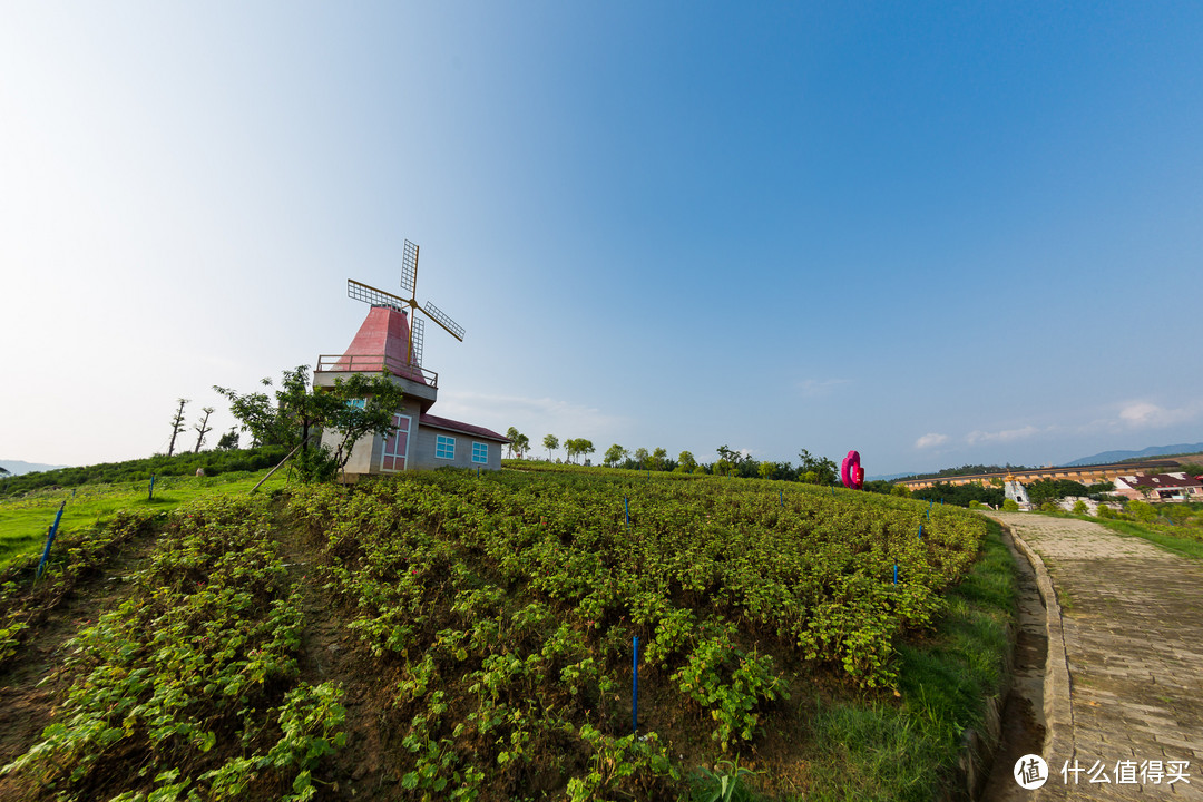 冷门焦段，canon 佳能 EF 8-15mm f/4L USM 鱼眼 镜头 使用评测