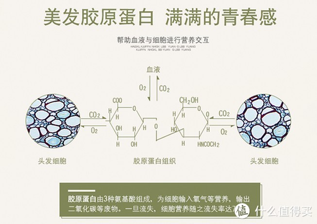 吹出胶原蛋白：TESCOM TCDF40 美发胶原蛋白吹风机