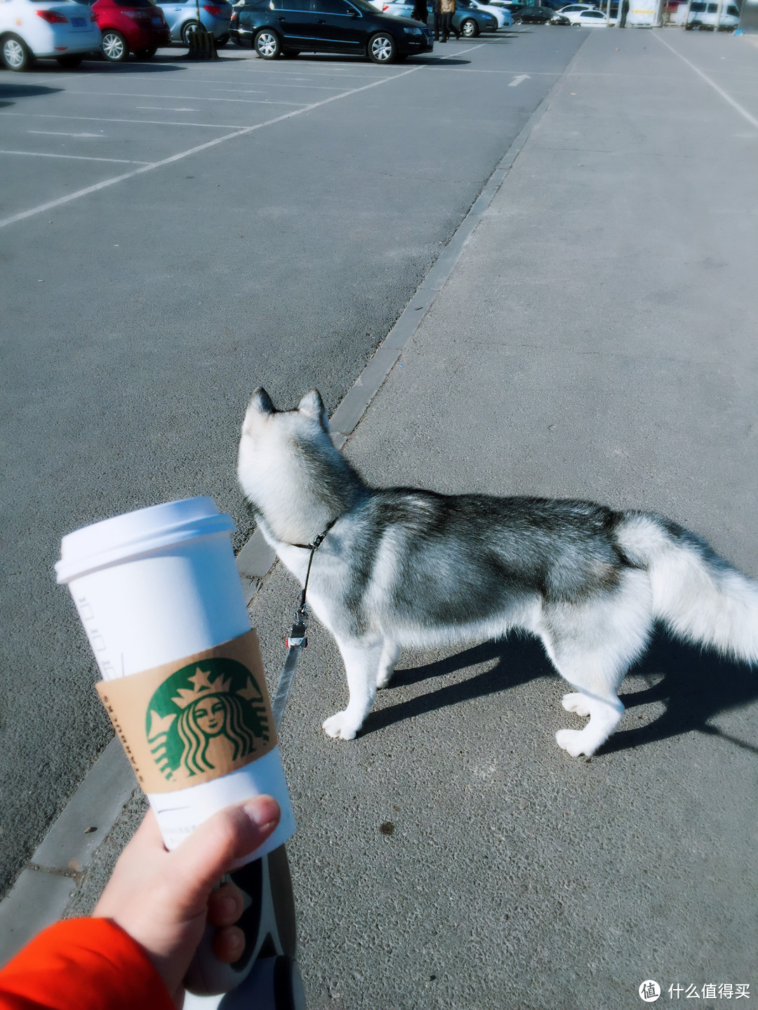 我的 STARBUCKS 星巴克 情怀